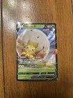Eldegoss V
