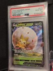 Eldegoss V