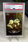 Arcanine