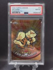 Arcanine