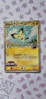 Spiky-Eared Pichu