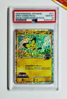Spiky-Eared Pichu