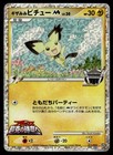 Spiky-Eared Pichu