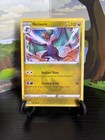 Noivern