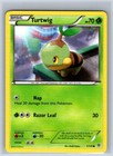 Turtwig