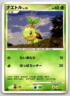 Turtwig