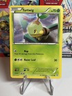 Turtwig