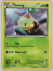 Turtwig