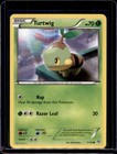 Turtwig