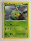 Turtwig
