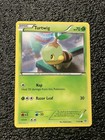 Turtwig