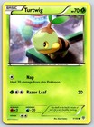 Turtwig
