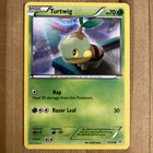 Turtwig