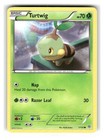 Turtwig