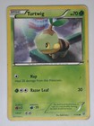 Turtwig