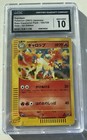 Rapidash