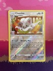 Cinccino