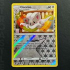 Cinccino