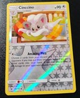 Cinccino