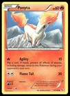 Ponyta