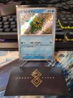 Staryu