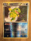 Politoed