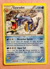 Gyarados