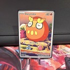 Darumaka