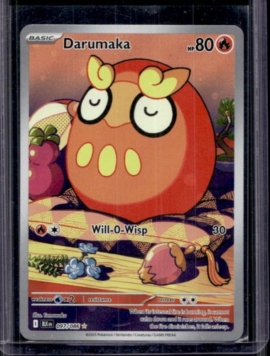 Darumaka