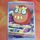 Darumaka