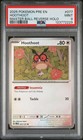 Hoothoot