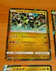 Zygarde