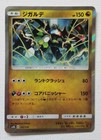 Zygarde