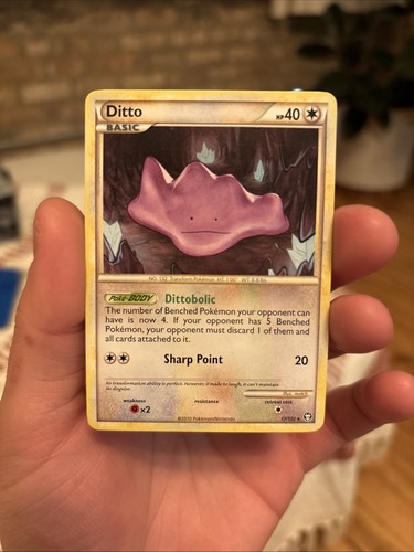 Ditto