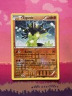 Zygarde