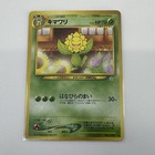 Sunflora