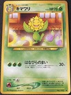Sunflora