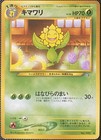 Sunflora