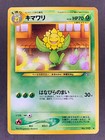 Sunflora