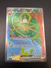 Spidops ex
