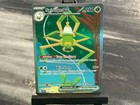 Spidops ex