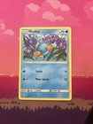 Mudkip