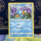 Mudkip
