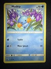 Mudkip