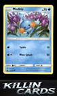 Mudkip