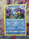 Mudkip