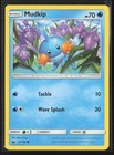 Mudkip