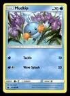 Mudkip