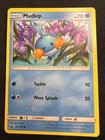 Mudkip