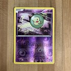Solosis
